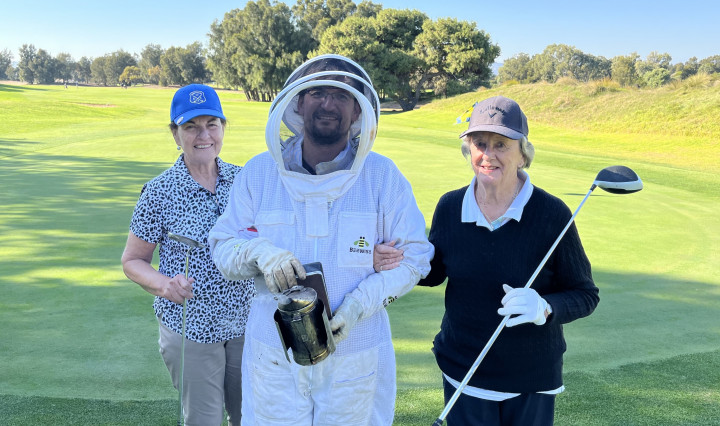 Sân golf nuôi 50.000 con ong mật để giúp tăng cường đa dạng sinh học tự nhiên